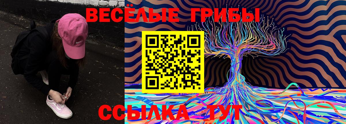 Галлюциногенные грибы мухоморы Севастополь