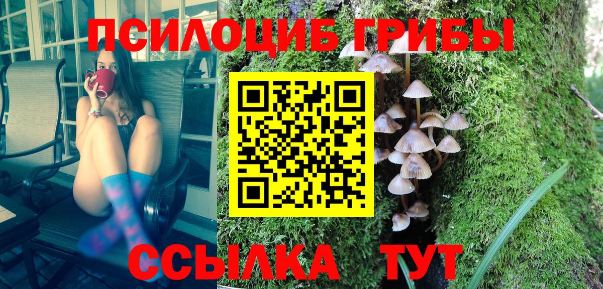 Севастополь  Псилоцибиновые грибы GOLDEN TEACHER  Вход с VPN 